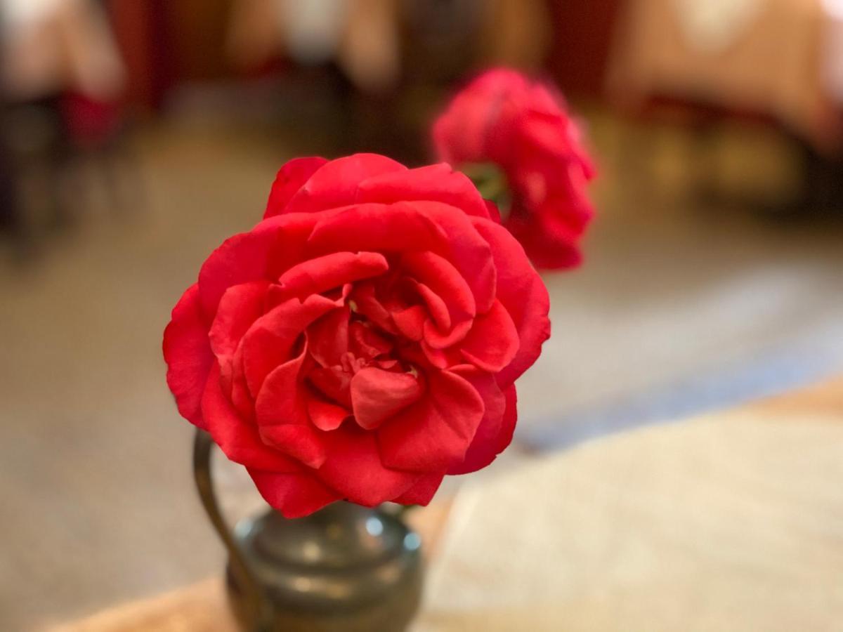 רוטנבורג אוב דר טאובר Kreuzerhof Hotel Garni מראה חיצוני תמונה